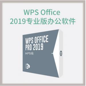 金山 WPS Office 2019专业版 办公套件