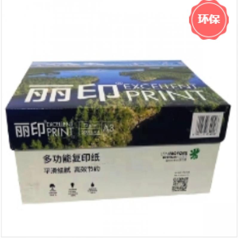 丽印(PRINT)A3/80g复印纸*500张/包 5包/箱