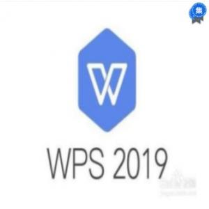 金山 WPS Office 2019 for linux专业版办公软件V11办公套件